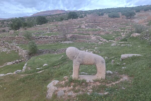 قبرستانی تاریخی و سرسبز به قدمت چند صد ساله در فارس