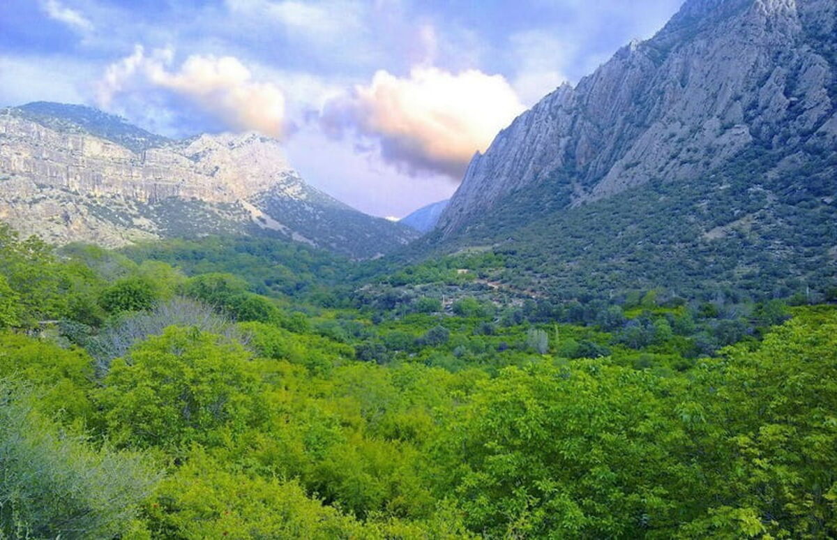 نورآباد ممسنی؛ تکه‌ای از بهشت/ فیلم