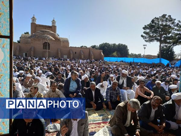 اقامه نماز عید فطر با حضور گسترده مردم اهل سنت تربت جام