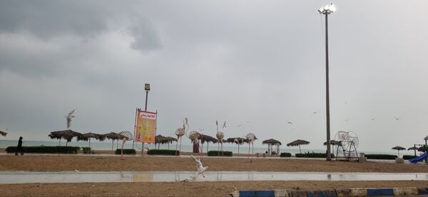 بارش باران چهره بندرعباس را پاییزی و دل‌انگیز کرد