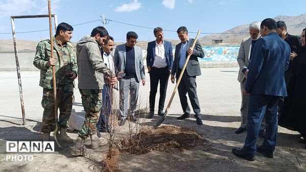 کاشت نهال در مدرسه خدیجه کبری شلمزار