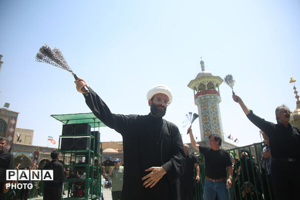 عزاداری اربعین حسینی(ع) در حرم حضرت معصومه(س)