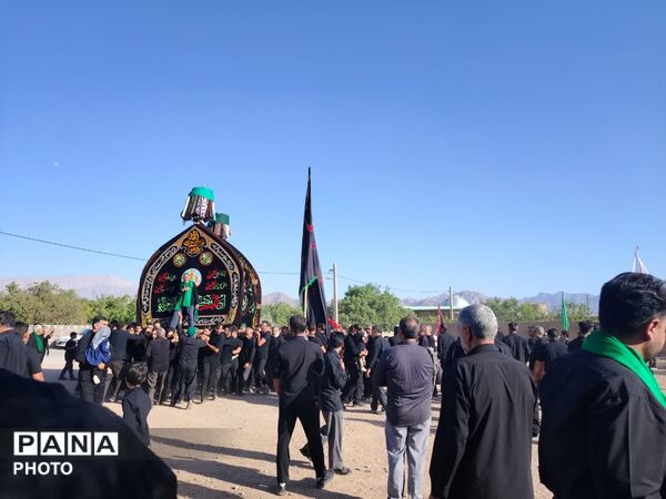 نخل‌برداری روز عاشورا در روستای صالح آباد شهرستان تفت