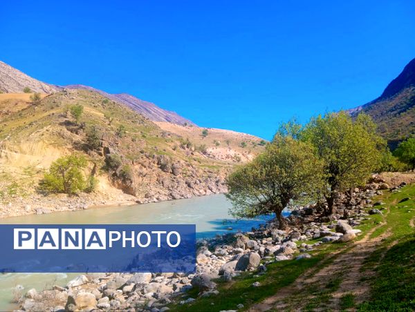 طبیعت بهاری، فرصتی برای سرزندگی روح 