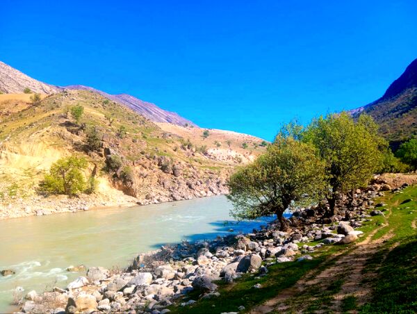 طبیعت بهاری، فرصتی برای سرزندگی روح 