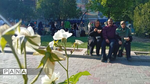 برگزاری عید غدیر در پارک چمران شهرستان ملایر