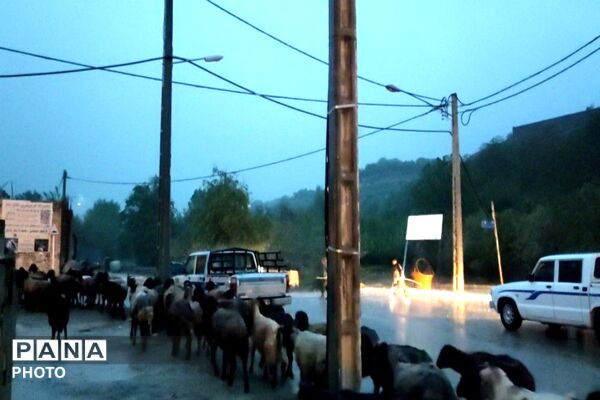 حال و هوای شهر بار بعد از بارش زیبای باران 