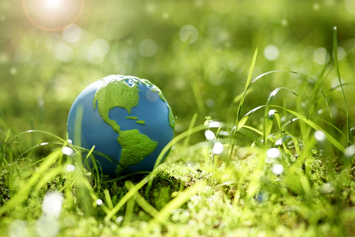 گامی به سوی محیط زیست سالم‌تر و آینده‌ای پایدار