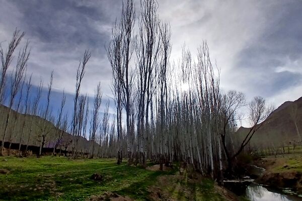  نجوای بهار در روستای سرتشنیز