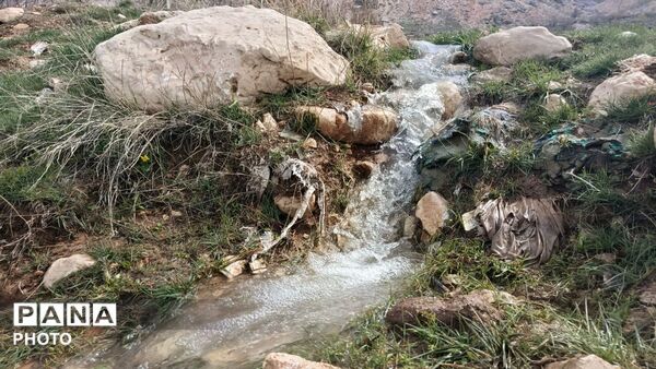 زیبایی تنگ دستنا در قاب پانا