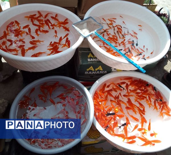 جاذبه‌های دیدنی شهرکرد برای عید نوروز