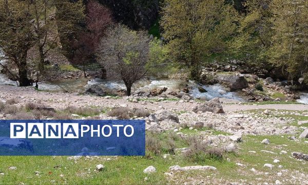 طبیعت روستای بارز، طبیعتی زیبا در دل استان چهارمحال‌وبختیاری 