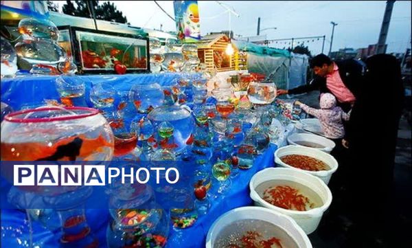حال‌و هوای مردم شیراز در آستانه سال نو