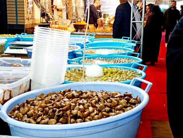 برپایی نمایشگاه بهاره در کاشمر