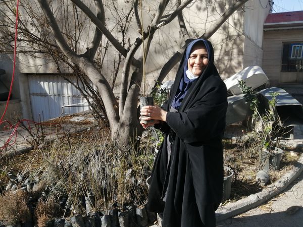 کاشت ۱۵۰ نهال در مدارس ملارد برای ایران سرسبز