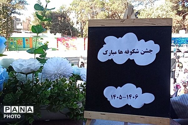 جشن شکوفه ها؛ در قاب پانا