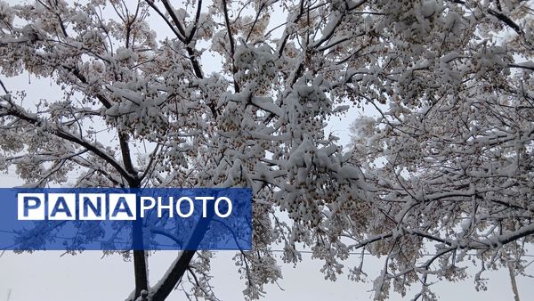 بارش دل‌انگیز برف‌ در اولین روزهای بهمن ماه