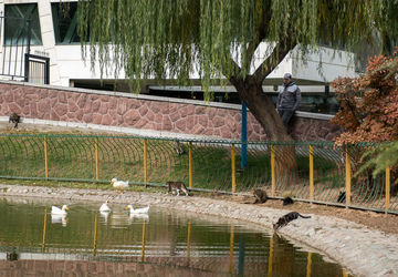 هوای تهران همچنان در شرایط قابل قبول