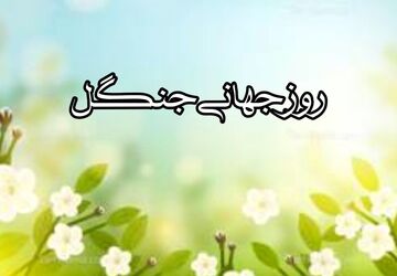 سرمایه زمین چیست؟ 