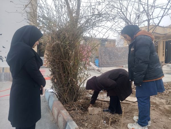 کاشت درخت در هنرستان بصیرت آشخانه