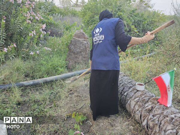 کاشت نهال به یاد دانش‌آموزان شهید مدرسه شجره طیبه میناب در سندرک