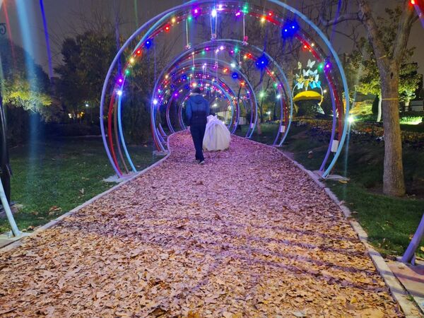 زیبایی باغ گل‌های مشهد در پاییز