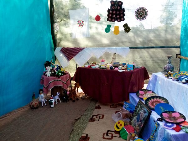 افتتاح نمایشگاه ماها در دبستان ۲۲ بهمن تربت‌جام 