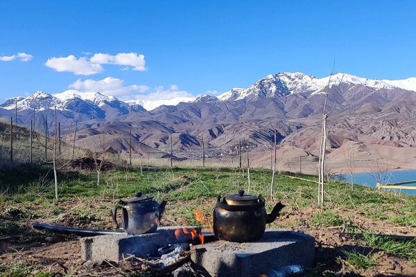 پاکسازی طبیعت در روز طبیعت