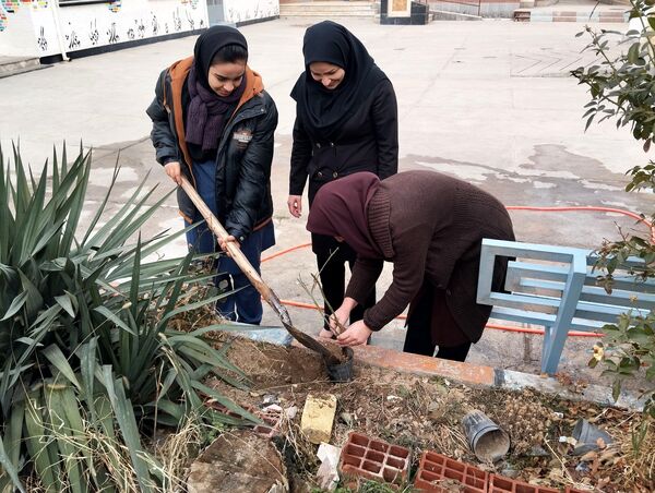 کاشت درخت در هنرستان بصیرت آشخانه