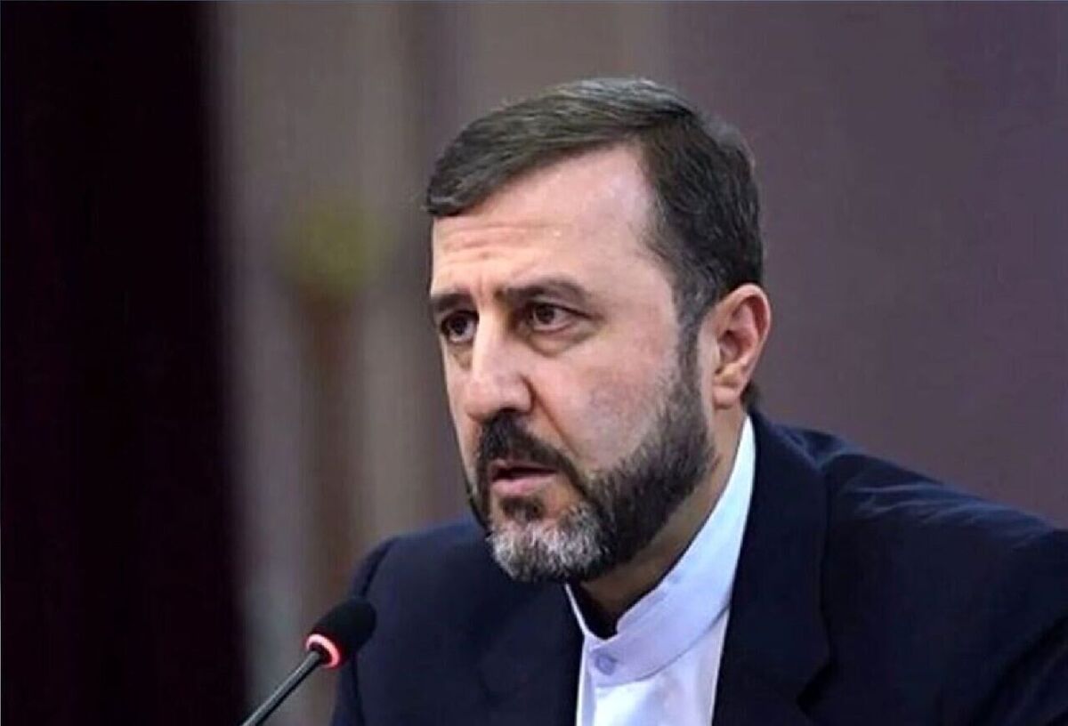 غریب آبادی: شورای حکام نباید محل سفیدشویی تجاوز نظامی شود