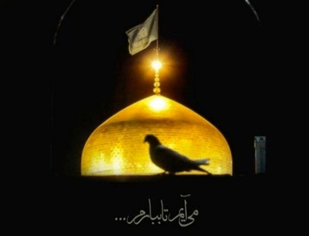 شهادت امام رضا علیه السلام