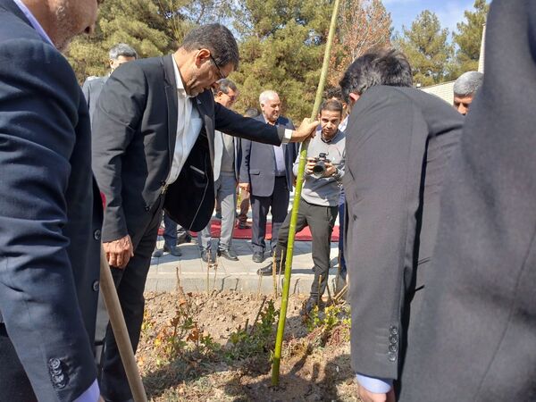 کاشت نهال یادمان صحن دانش تا کرسی قانون‌گذاری 