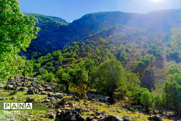  بهاریِ رنگارنگ در پل‌بریده