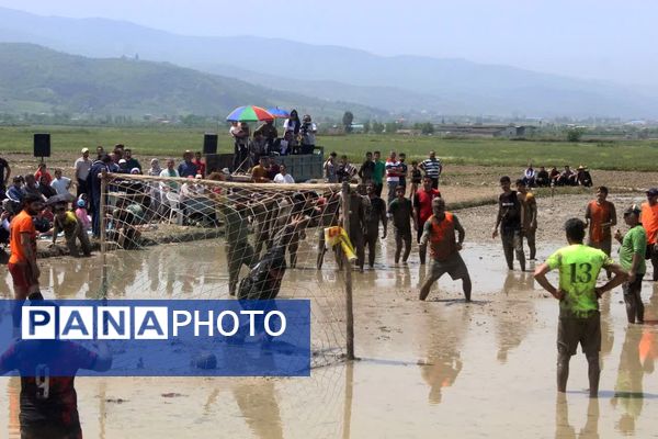 جشنواره فرهنگی و ورزشی بازی‌های شالیزاری در گلوگاه 