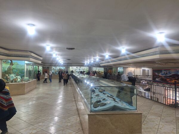 اردوی علمی ،تفریحی دانش آموزان مدرسه مهندس رحمانی فرد در پژوهش سرای علامه طباطبایی