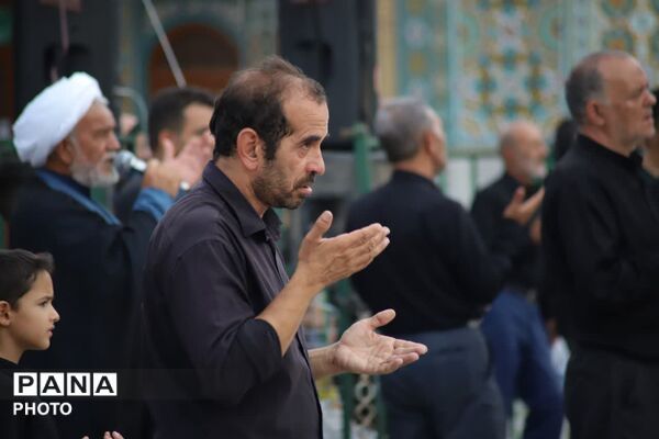 حضور دسته جات عزاداری سالروز شهادت امام حسن مجتبی(ع) در حرم بانوی کرامت