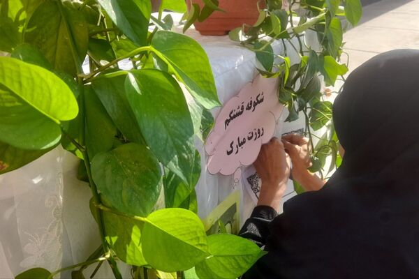 دبستان فاطمه الزهرا میلاس، پایگاهی برای آغاز درخشان‌ترین رویاها