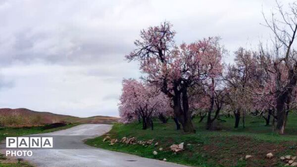 قلعه‌تک در اردیبهشت؛ جادوی باران و شکوفه