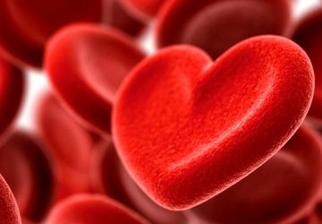 قطره‌ای از زندگی، پلی به سوی نجات انسان‌ها
