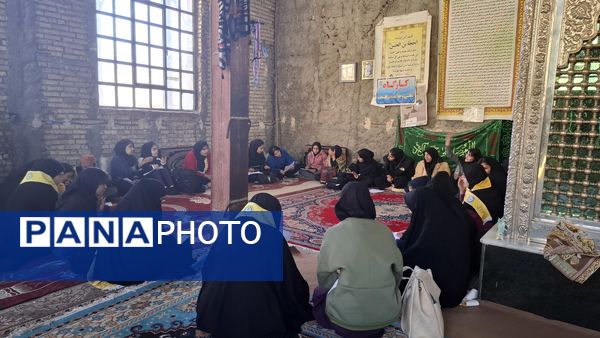 طرح اردوی تمشک در شهرستان دهدشت