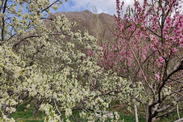 شهر بار نگین سبز خراسان رضوی میزبان فصل بهار 