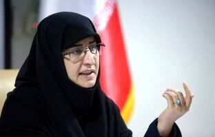 طرح گسترش آموزش زبان فارسی به کودکان ایرانیان مقیم خارج از کشور تهیه و اجرا می‌شود