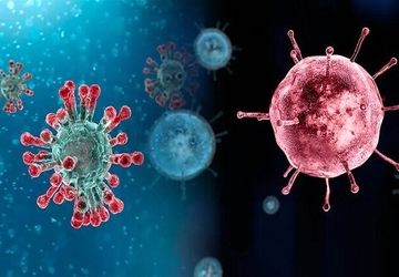 ضرورت هماهنگی ملی درباره تعطیلی مدارس و جلوگیری از ایجاد نگرانی