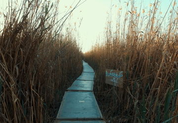 راهیان نور، راهی به سوی سعادت