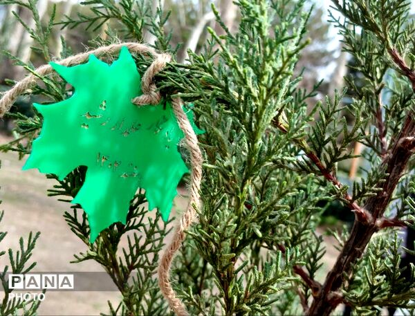 مراسم کاشت نهال در اردوگاه شهید رجایی شهرستان نیشابور