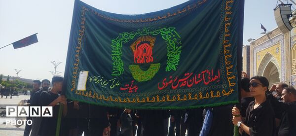 مراسم سینه زنی و عزاداری امام رضا علیه السلام توسط هیئات کاشمر 