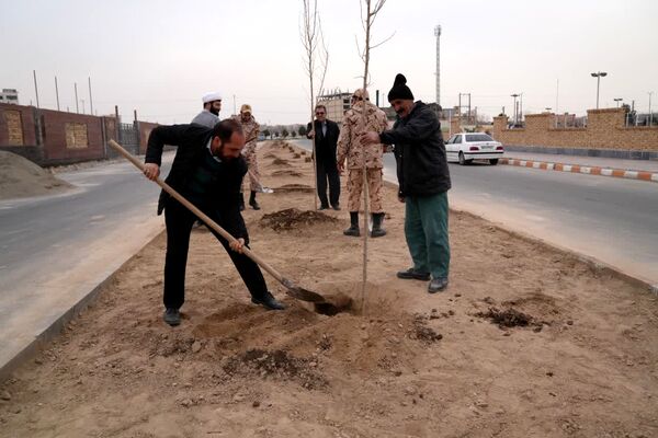 کاشت درخت به یاد شهدا در محمدشهر 