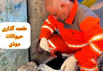 طعمه‌گذاری یکی از راه‌های حفظ اکوسیستم شهری