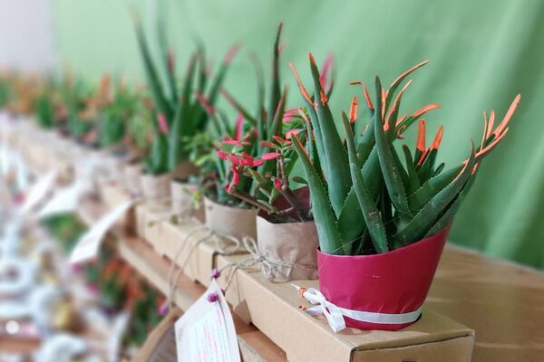 افتتاحیه طرح گلستان زندگی  دبیرستان شهدای هسته‌ای قرچک 