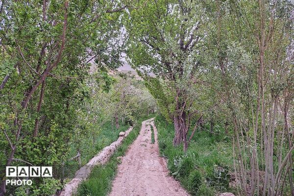 آلبوم تصویری از طبیعت زیبای شهر بار در اردیبهشت‌ماه  ۱۴۰۵ـ۲
